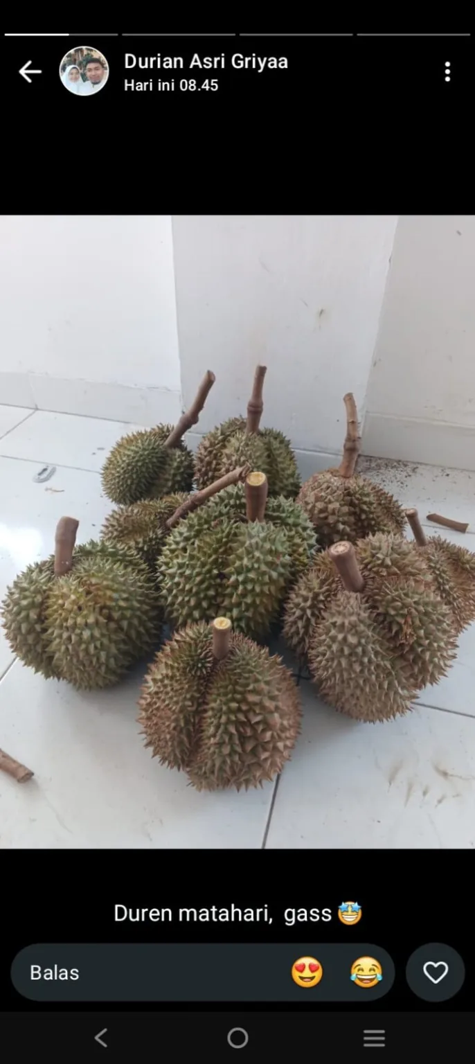 Durian Elwafa pilihan