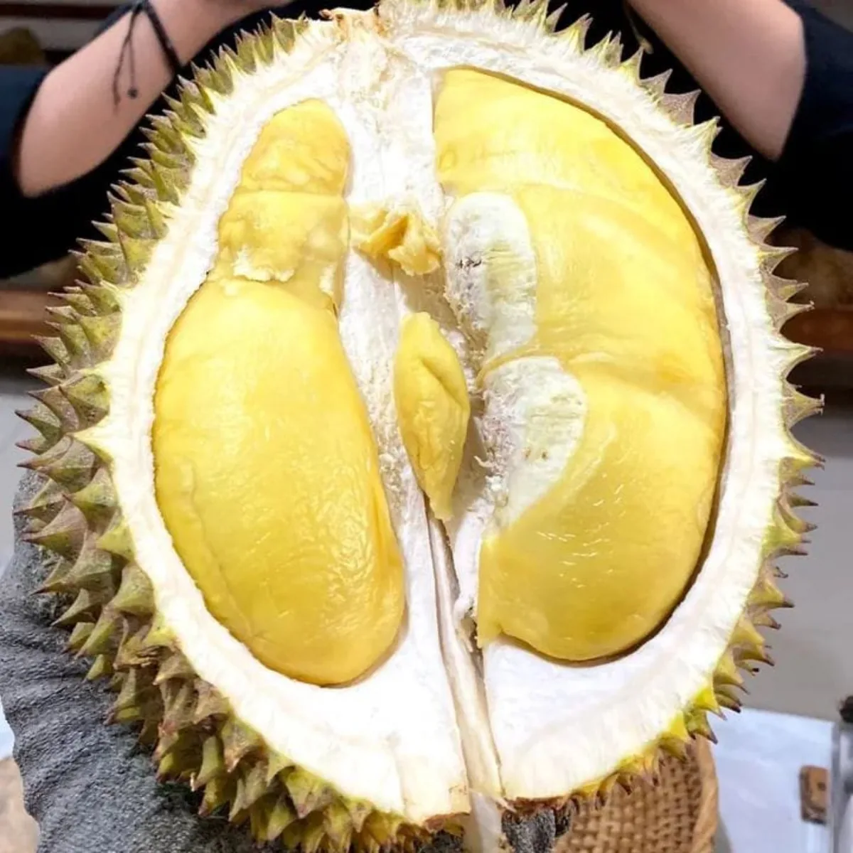 Durian Elwafa pilihan