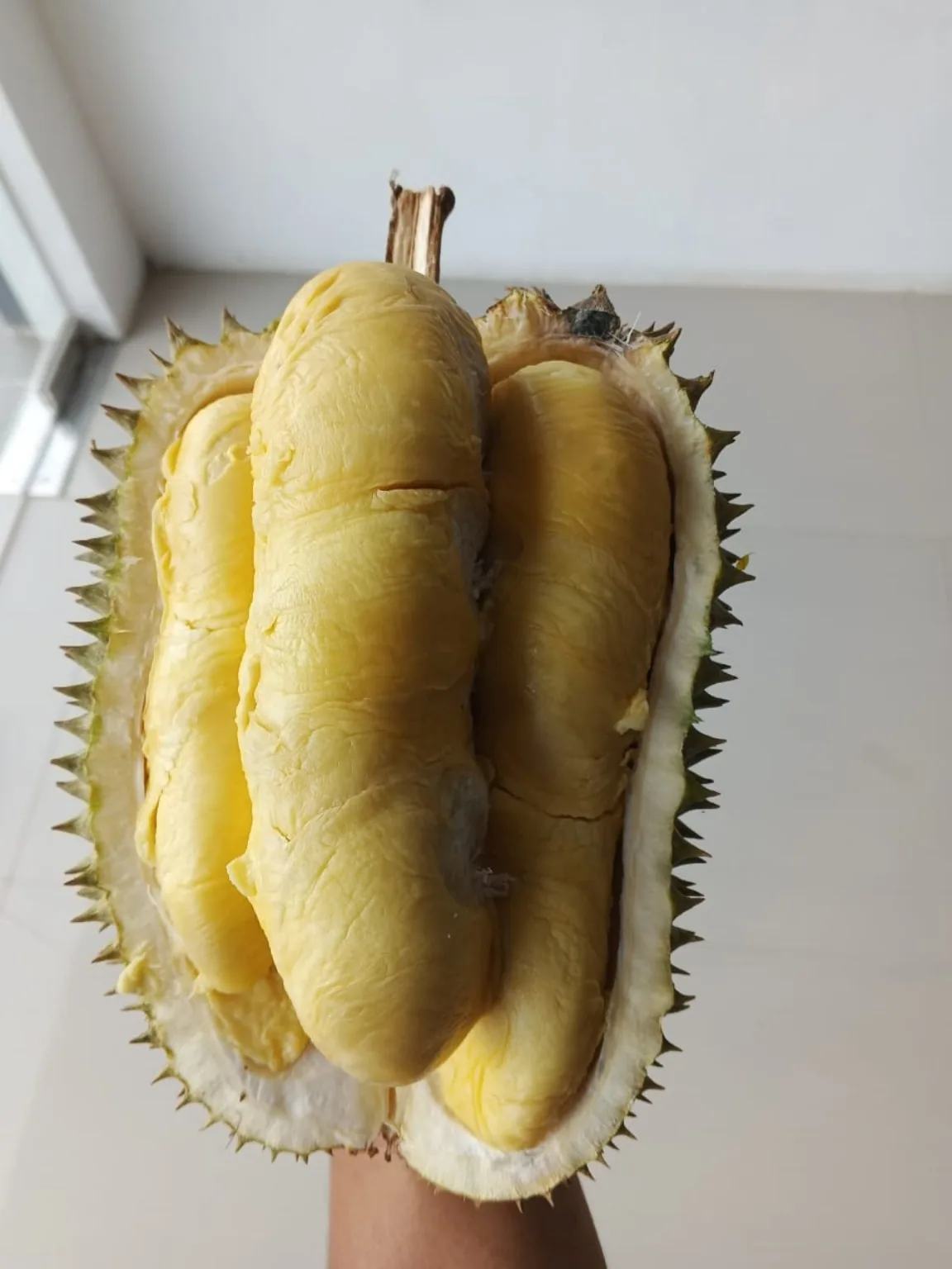Durian Elwafa dengan daging tebal dan matang