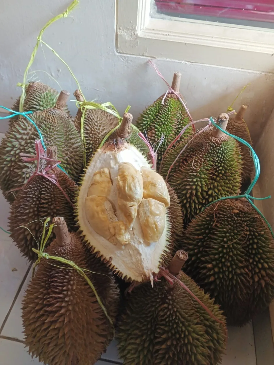 Durian Elwafa pilihan
