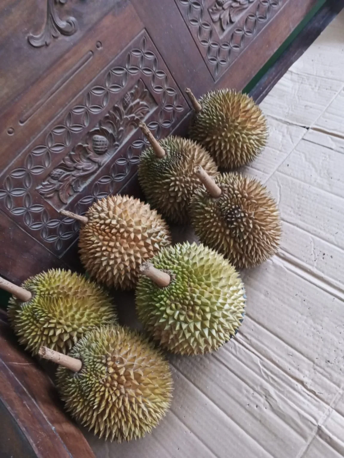 Durian Elwafa pilihan