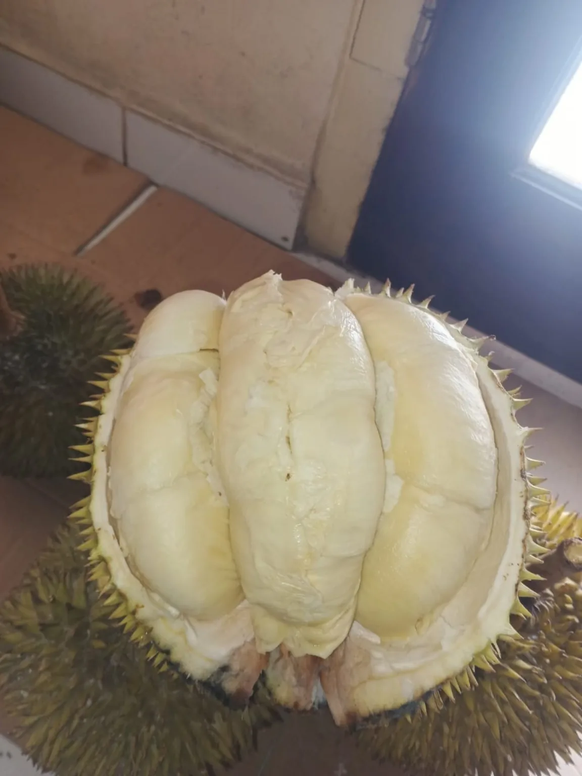 Durian Elwafa pilihan