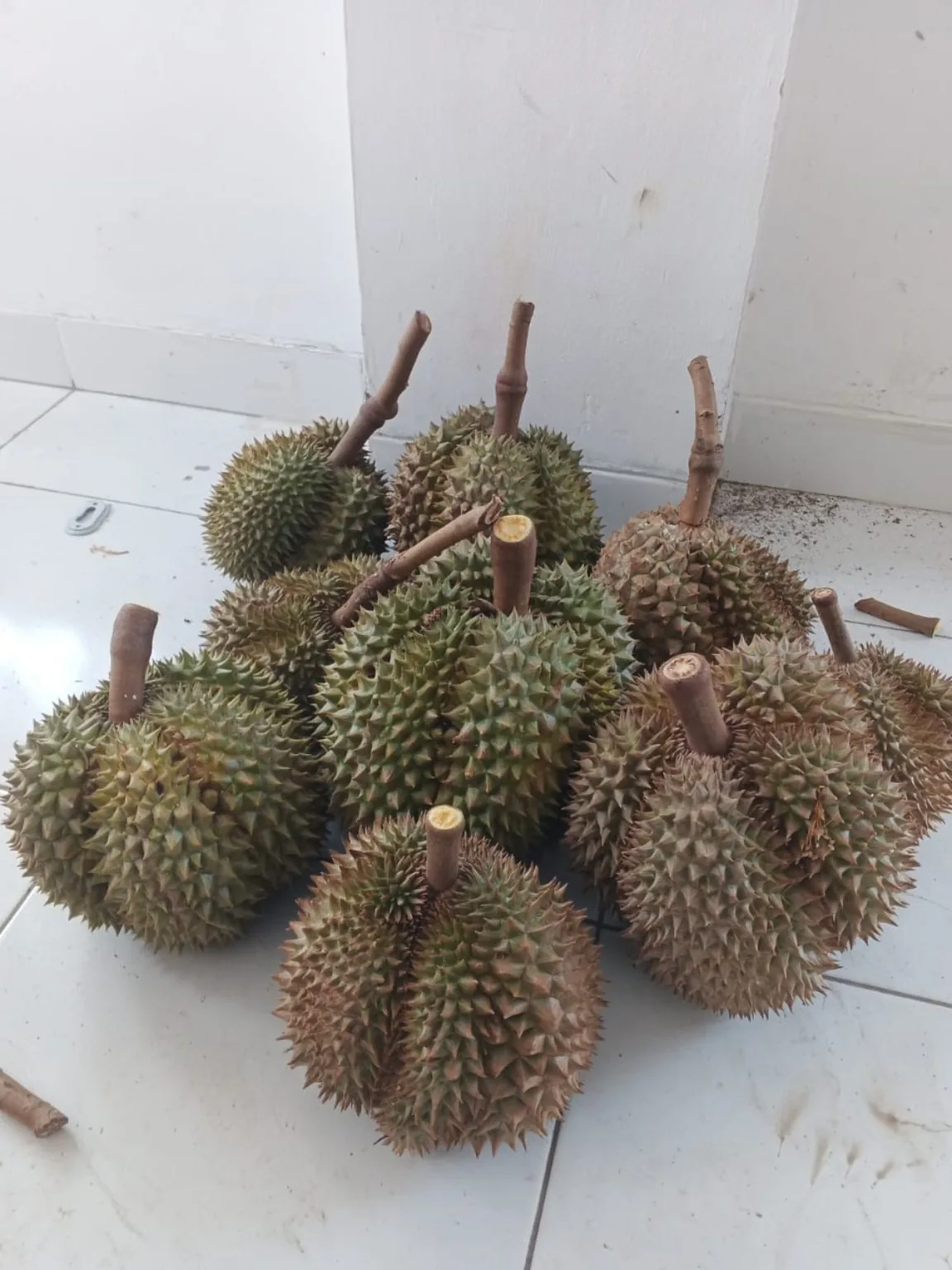 Durian Elwafa pilihan