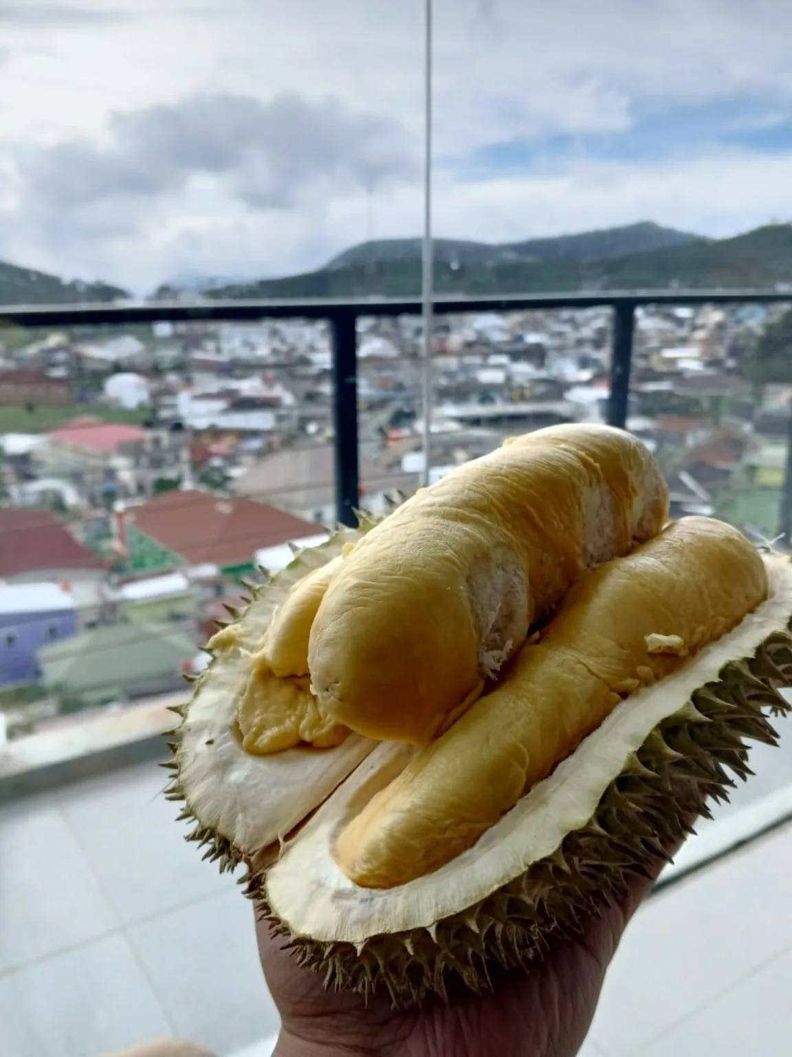 Durian Elwafa pilihan